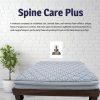A comfortable mattress designed for optimal spine care, promoting healthy sleep posture and support for the back.